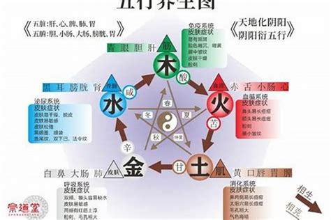 五行缺火會怎樣|五行缺火的人該如何改運